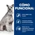 Cómo funciona: Fácil de digerir y bajo en grasa. Compuesto prebiótico excepcional con jengibre. Enriquecido con antioxidantes clínicamente probados y ácidos grasos omega-3.