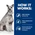 How it works: Highly digestible and low in fat, unique prebiotic blend and ginger, enriched with clinically proven antioxidants and Omega-3s.