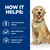 Hill's Prescription Diet Canine j/d Reduced Calorie Joint Care - Chicken
