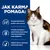 Jak karma pomaga: pomaga kontrolować poziom cukru we krwi, wspiera spalanie tkanki tłuszczowej i masę mięśniową, wspiera zdrowe trawienie i formowanie stolca. Obraz kota.