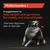 Multivitamins +. A supplement to help sustain energy release for vitality and overall health. Give your dog more bite on that ball.