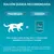 Ración diaria recomendada: para un gato de 4 kg, servir 2–3 sobres Purina ONE de 85 g al día, repartidos en al menos 2 comidas. Instrucción de ofrecer siempre agua limpia y fresca.