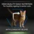 HIGH QUALITY DAILY NUTRITION for healthy ageing in senior cats. WITH LONGEVIS BLEND. FOR STERILISED CATS. Teksti englanniksi, kuva ruskeasta kissasta nuolella kyljessä.
