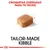 Croquetas diseñadas para tu teckel. Tailor-made kibble. Imagen de una croqueta rectangular marrón sobre fondo blanco.