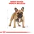 Teksti: BREED RANGE: FRENCH BULLDOG. Piirros ranskanbulldogista, taustalla mittaviivoja. Alareunassa punainen kruunu ja viiva.