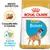 Royal Canin Puppy Boxer, croquete feito à medida, suporte do sistema imunitário. Embalagem de ração para cachorros Boxer com imagem de cão e texto em inglês e português.