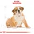 Cățel Bulldog maro deschis, text vizibil sus: RASA: BULLDOG, fundal alb cu schițe de contur și simbol grafic roșu Royal Canin jos.