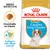 ROYAL CANIN Puppy Cavalier King Charles, crocchetta su misura, sostegno alle difese naturali. Immagine di un cucciolo sulla confezione. ROYAL CANIN Puppy Cavalier King Charles, crocchetta su misura, sostegno alle difese naturali. Immagine di un cucciolo sulla confezione.