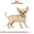 Illustratie van een Chihuahua met rode tekst 'Ras: Chihuahua' bovenaan. Hondenras-identificatie voor aankoopadvies of ras-specifieke producten.