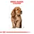Illustration showing breed range: Cocker, with a diagram of a dog and height markings to indicate typical size for this breed.