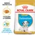Royal Canin Puppy Dalmatian, croqueta a medida, refuerzo del sistema inmunológico. Texto en inglés: Breed Nutrition. Imagen de pienso y símbolo de protección.