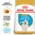 Royal Canin Golden Retriever Puppy Royal Canin Golden Retriever Puppy