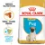 Royal Canin Pug Puppy