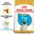Royal Canin Pug Puppy Royal Canin Pug Puppy
