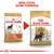 Royal Canin Miniature Schnauzer Adult
