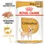 Royal Canin Adult Chihuahua 85 g x12. Mukautettu rakenne, turkin kunto. BREED NUTRITION. Kuvassa chihuahua ja annos ruokaa.