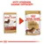 Royal Canin Breed Dachshund Mousse