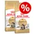 Two bags of Royal Canin Adult Maine Coon cat food with a large red percentage discount symbol in the top right corner. Visible text: Joint Support, Feline Breed Nutrition.