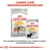 Royal Canin Dermacomfort Medium Trockenfutter und Dermacomfort All Sizes Feuchtfutter. Canine Care Ernährungsprogramm für Hunde. Perfekte Kombination aus Trocken- und Feuchtnahrung.