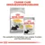 Royal Canin Dermacomfort Mini Trockenfutter und Dermacomfort All Sizes Feuchtnahrung. Die perfekte Kombination aus Trocken- und Feuchtnahrung.