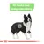 Text: För hundar med känslig matsmältning. Illustration av svartvit hund med markering på buken.