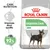 Συσκευασία Royal Canin Digestive Care Mini με εικόνα μικρού σκύλου. Κείμενο: Improves stool quality, Proven results up to 92% optimal stool quality.