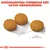 Royal Canin Medium Dermacomfort