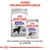 Royal Canin Sterilised tørfoder MAXI og vådfoder ALL SIZES til hunde. Tekst: Hunde ernæringsprogram. Den perfekte kombination af vores tør- og vådfoder.
