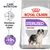 Royal Canin STERILISED MEDIUM, mantiene el peso ideal, resultados probados: -10 % de calorías. Texto visible en español e inglés en el envase y gráficos informativos.