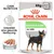 Royal Canin Digestive Care Nassfutter, 85g x 12, unterstützt eine gesunde Verdauung. Mousse für Hunde aller Grössen.