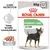 Royal Canin Digestive Care All Sizes koiran märkäruoka, 85 g x12. Tukee tervettä ruoansulatusta. Mureke. Pakkauskuvassa pieni musta-ruskea koira. Royal Canin Digestive Care All Sizes koiran märkäruoka, 85 g x12. Tukee tervettä ruoansulatusta. Mureke. Pakkauskuvassa pieni musta-ruskea koira.