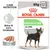 Royal Canin Digestive Care Mousse