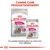 Royal Canin Exigent Mini torrfoderpåse och Exigent All Sizes våtfoder 85 g. Text: CANINE CARE PRODUKTSORTIMENT. En perfekt kombination av våra torr- och våtfoder.