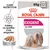 Royal Canin Exigent All Sizes, patê para cães, embalagem de 85 g x12. Texto visível: Care Nutrition, Satisfaz os apetites mais exigentes, Patê.