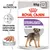 ROYAL CANIN STERILISED ALL SIZES, 85 g x12, pasztet dla psa. Utrzymanie optymalnej masy ciała. Care Nutrition. Zdjęcie psa na opakowaniu.