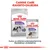 Royal Canin Sterilised X-Small -kuivaruoka ja Sterilised All Sizes 85 g säilykeruoka koirille. Teksti: CANINE CARE -RAVINTO-OHJELMA. Kuiva- ja säilykeruokareseptiemme täydellinen yhdistelmä.