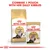 ROYAL CANIN Adult Persian dry food bag and 85g wet food pouch. Text: Combine 1 pouch with her daily kibbles.