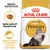 Royal Canin Adult Persian macskatáp csomagolás, testre szabott tápszemcse, segít megőrizni a hosszú szőrű macskák egészségét felirattal. Royal Canin Adult Persian macskatáp csomagolás, testre szabott tápszemcse, segít megőrizni a hosszú szőrű macskák egészségét felirattal.