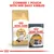 Instructional image showing Royal Canin Ragdoll dry food and Intense Beauty wet pouch with text: Combine 1 pouch with her daily kibbles.