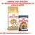 Royal Canin Adult Siamese crocchette e Royal Canin Care Intense Beauty bustina 85 g. Testo: Abbina una bustina al quantitativo quotidiano di crocchette.