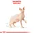 Royal Canin Sphynx Adult