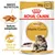 Royal Canin ADULT Maine Coon, 85 g x12. Textura adaptada. Salud de huesos y articulaciones. Imagen de comida húmeda y un gato Maine Coon en el envase.
