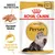 Royal Canin ADULT Perser 85 g x 12. Tilpasset tekstur. Specielt til langhårede racer. Billede af perserkat og vådfoderstykker på tallerken.