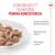 Royal Canin Light Weight Care AirLift Mousse Royal Canin Light Weight Care AirLift Mousse