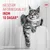 Royal Canin Digestive Care AirLift Mousse Royal Canin Digestive Care AirLift Mousse