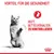 Vorteil für die Gesundheit: Hilft, Bettelverhalten zu kontrollieren. Bild einer stehenden Katze und Royal Canin Logo.