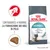 ROYAL CANIN Hairball, sacchetto con scritta 'Contribuisce a ridurre la formazione dei boli di pelo', crocchetta e gatto illustrati. Testo in inglese: 'Reduces hairball formation in 14 days'.