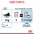 Mode d’emploi Royal Canin Light Weight Care : pour un chat de 4 kg, donner 3 sachets ou 1 sachet + 43 g de croquettes par jour. Eau à disposition. Énergie métabolisable : 713 kcal/kg.