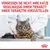 Не забывайте регулярно показывать вашу кошку ветеринару. Логотип Royal Canin внизу справа.