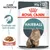 Royal Canin Hairball, 85 g x12, controllo dei boli di pelo, salsa. Immagine di gatto a pelo lungo e crocchette in salsa. Testo: Care Nutrition, Controllo dei boli di pelo.